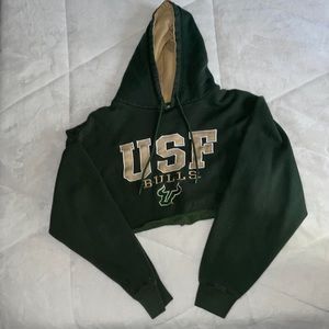 USF Bulls cropped hoodie